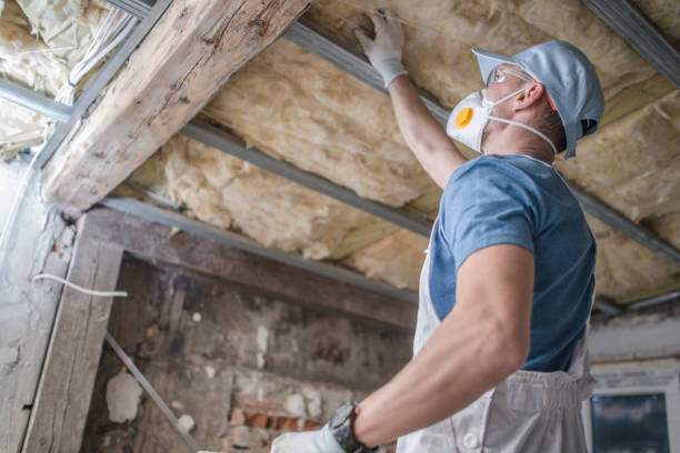 Best Commercial Insulation in Avondale Estates, GA